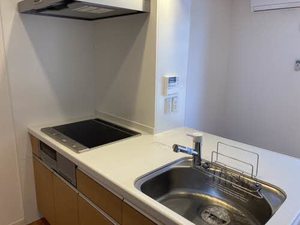 エスペランサ南彦根 0206号-4