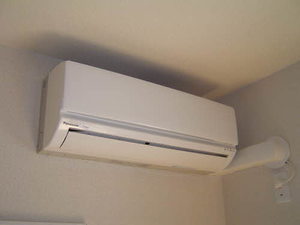 BANDWAGON 0201号-10