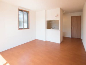 アンビエラ 0102号-8