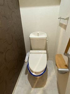 アリスティオ 0107号-8