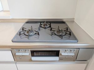 シャーメゾン長瀬 0201号-11
