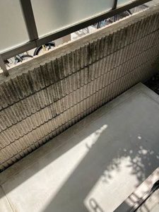 ＲＯＮＤＯ　ＢＥＬＬ 0101号-11