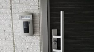 エバーグリーン 0301号-2