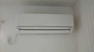 エバーグリーン 0301号-8