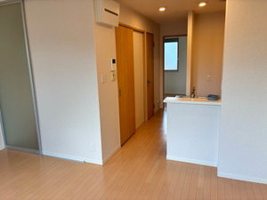 サンメゾン紀三井寺 0206号-3