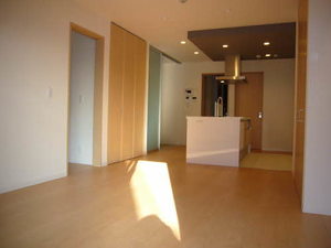 セレーナ室町 0301号-3