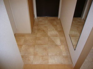 セレーナ室町 0301号-4