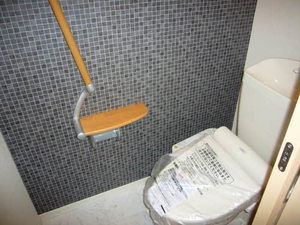 セレーナ室町 0301号-10