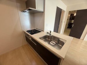 シャーメゾン下小阪Ⅱ 0302号-4