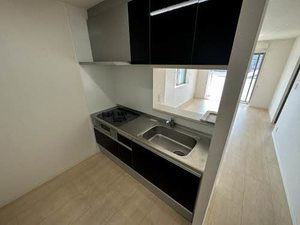 ＭＡＩＳＯＮ　ＤＥ　ＬＡＰＩＮ 0301号-3