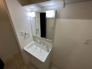 ＭＡＩＳＯＮ　ＤＥ　ＬＡＰＩＮ 0301号-4