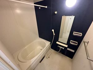 ＭＡＩＳＯＮ　ＤＥ　ＬＡＰＩＮ 0301号-5