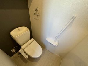 ＭＡＩＳＯＮ　ＤＥ　ＬＡＰＩＮ 0301号-6