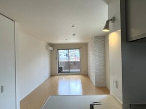 シャーメゾン　ナツエクス 0203号-3