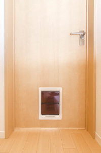 フェリオ城山台ウエスト 0205号-11