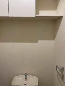 パークアベニュー参番館 0302号-8