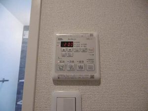 セレナヴィラ 0203号-10