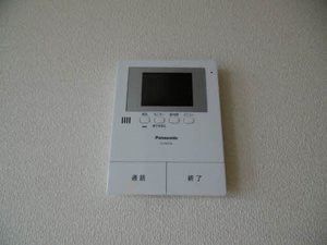 セレナヴィラ 0301号-9