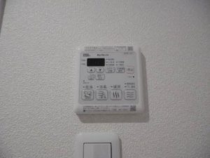 セレナヴィラ 0301号-10