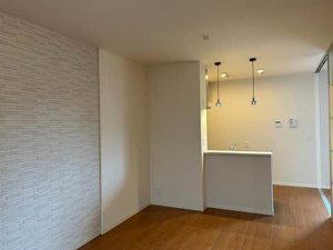 メゾン　ド　プレミアス 0102号-3