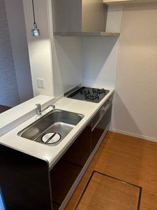 メゾン　ド　プレミアス 0102号-4