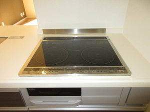 ルミエール・ヴェール C102号-14