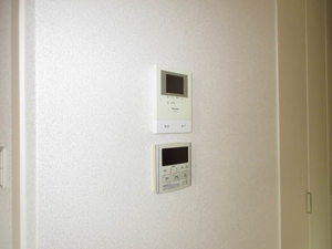 ルミエール・ヴェール C201号-13