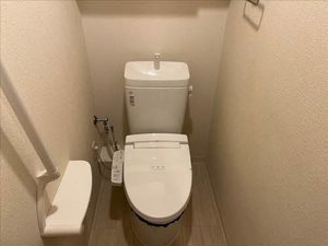 ドリーミオ東向日 0403号-9