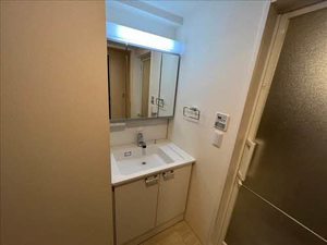 ドリーミオ東向日 0403号-10