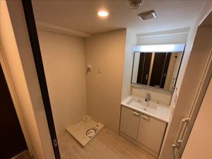 ドリーミオ東向日 0403号-11