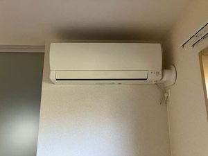 シャーメゾン春日 0101号-10