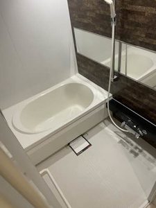 シャモニー 0201号-8