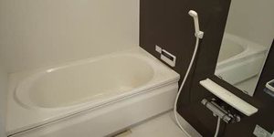 シャーメゾン下植野 0202号-6