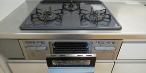 シャーメゾン下植野 0202号-9