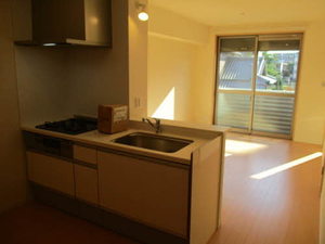 シャーメゾンＫ－Ⅳ 0202号-5