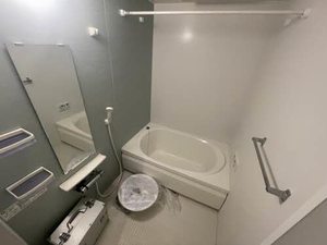 Ｍａｉｓｏｎｖｅｒｔｅ　ＵＭＥＮＯＫＩ 0105号-4