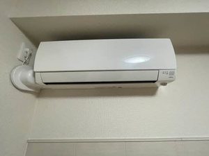 Ｍａｉｓｏｎｖｅｒｔｅ　ＵＭＥＮＯＫＩ 0105号-14