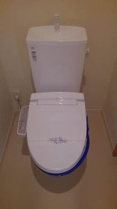 リーリエ　ＯＴＯＷＡＧＡＷＡ 0203号-11