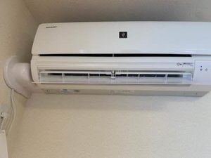 ｊｕｎａ B211号-4