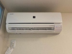 ｊｕｎａ B312号-5