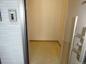 ｊｕｎａ B313号-10