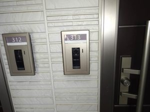 ｊｕｎａ B313号-11