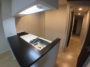 プロムナード南堀江 0205号-8