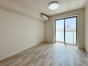 メゾン ド ミレナール 0303号-2