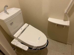 シャーメゾン　コスモ 0102号-3