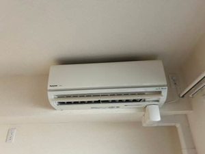 シャーメゾン　コスモ 0102号-5