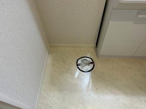 シャーメゾン　コスモ 0301号-13