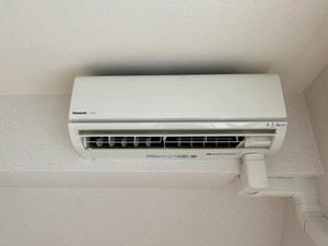 シャーメゾン　コスモ 0301号-14