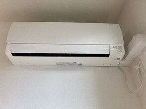 エクセルⅣ 0102号-8