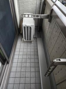 Ｓｈａ　Ｍａｉｓｏｎ　Ｃ’ｅｓｔＬｅｐｉｅｄ 0206号-11